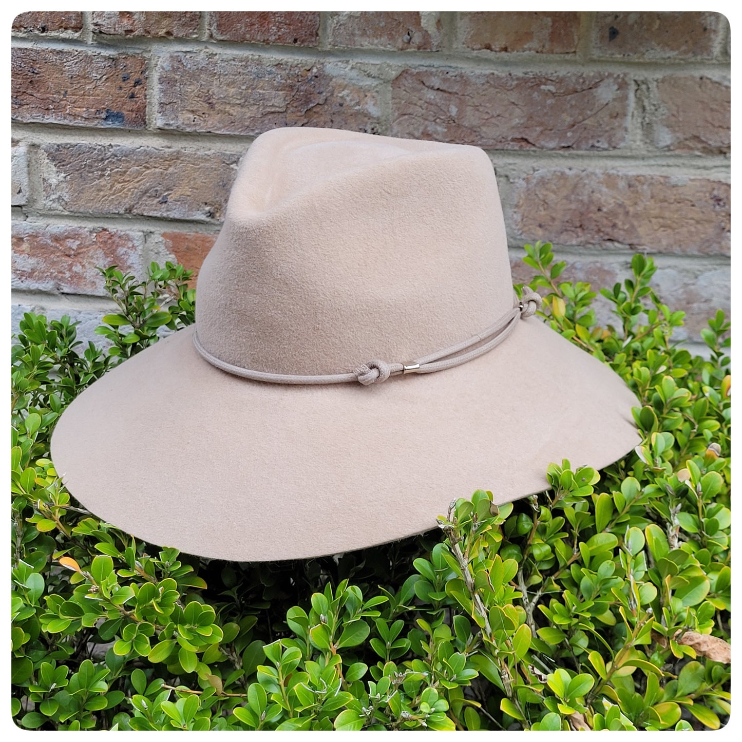 Felt Fedora - Medium Brim