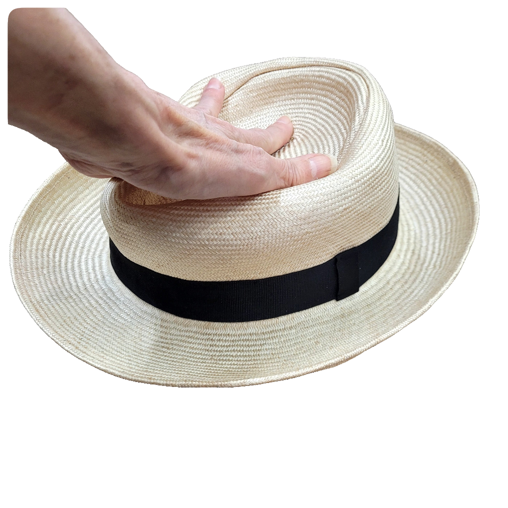 Monty travel Fedora