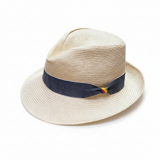 Monty travel Fedora