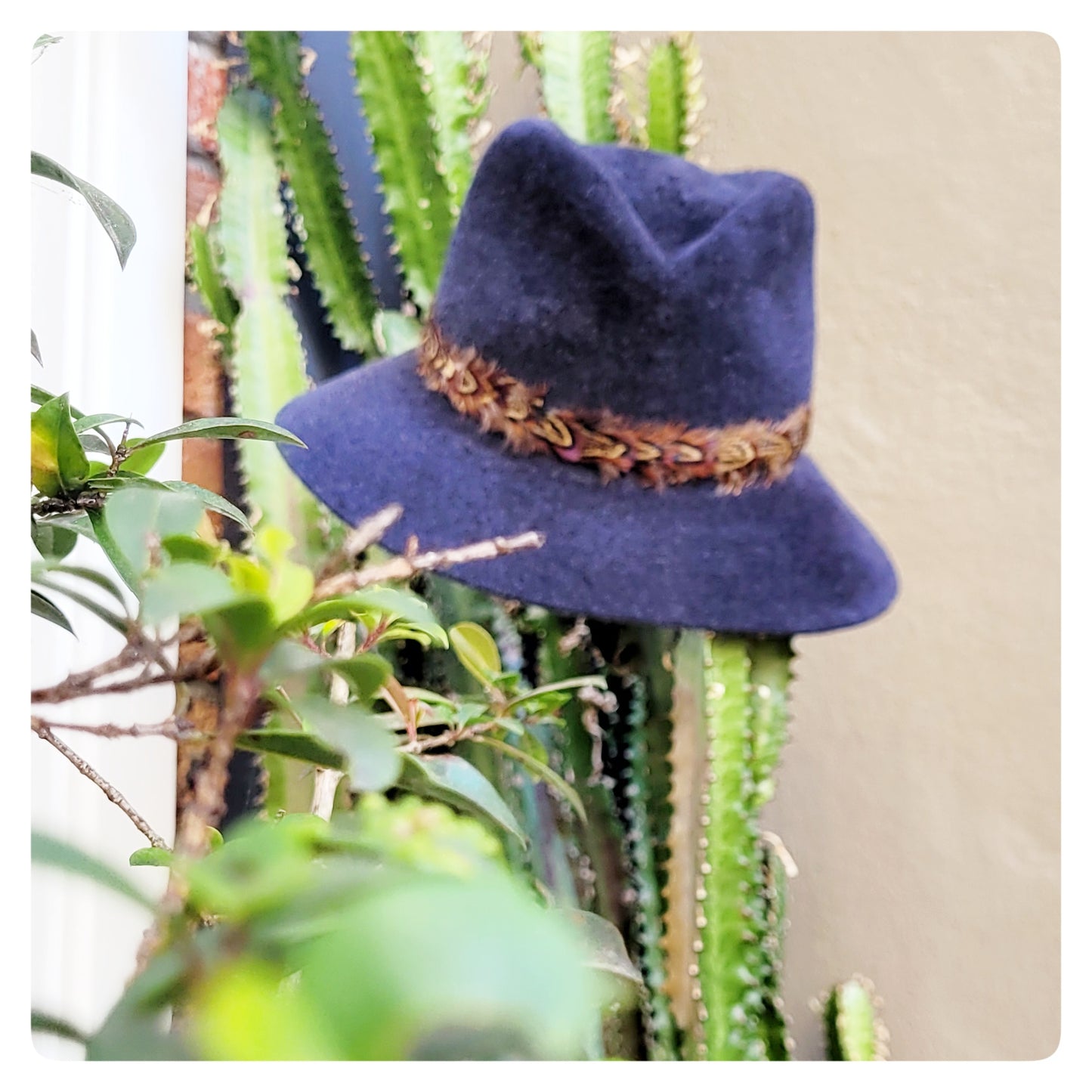 Felt Fedora Hat - Medium Brim