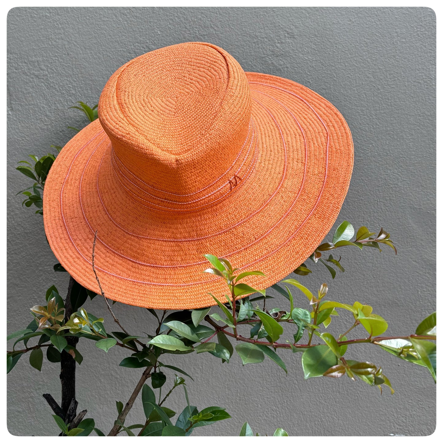 Seychelles Travel Hat